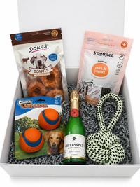 La Cesta de Regalo del Día del Perro
